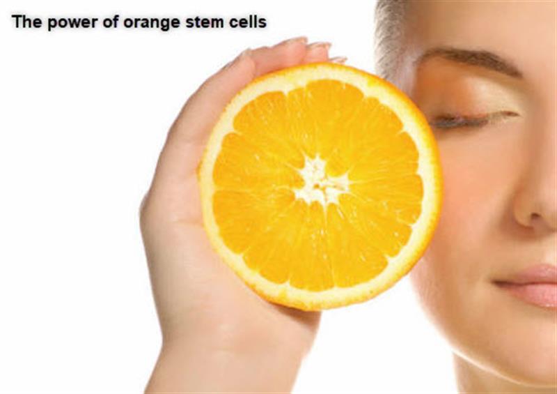 /Stem Cell Serum with Vitamin C, Citrustem Orange Stem Cells, AHA to even skin tones and brighten skin