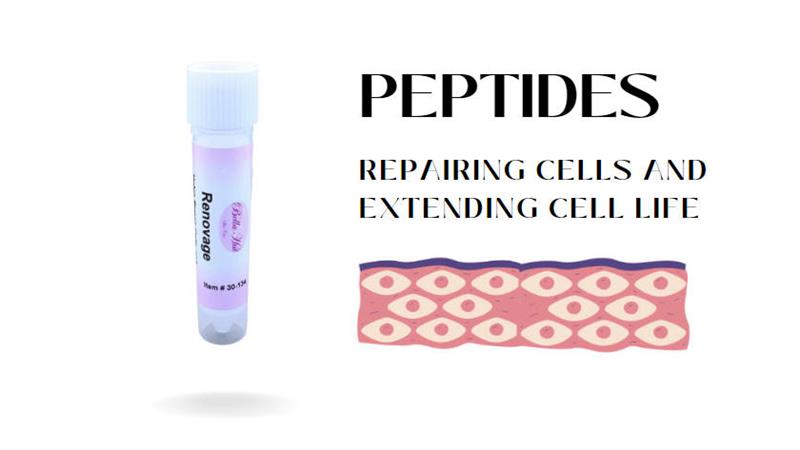 /Pure Renovage peptide additive for mixing cream or serum